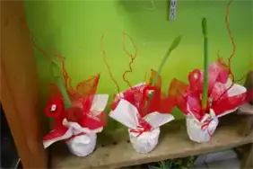 pot-de-fleurs-rouge
